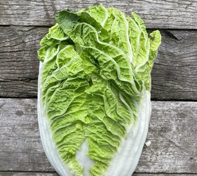 Botmas Biologische Chinese Kool - RTU