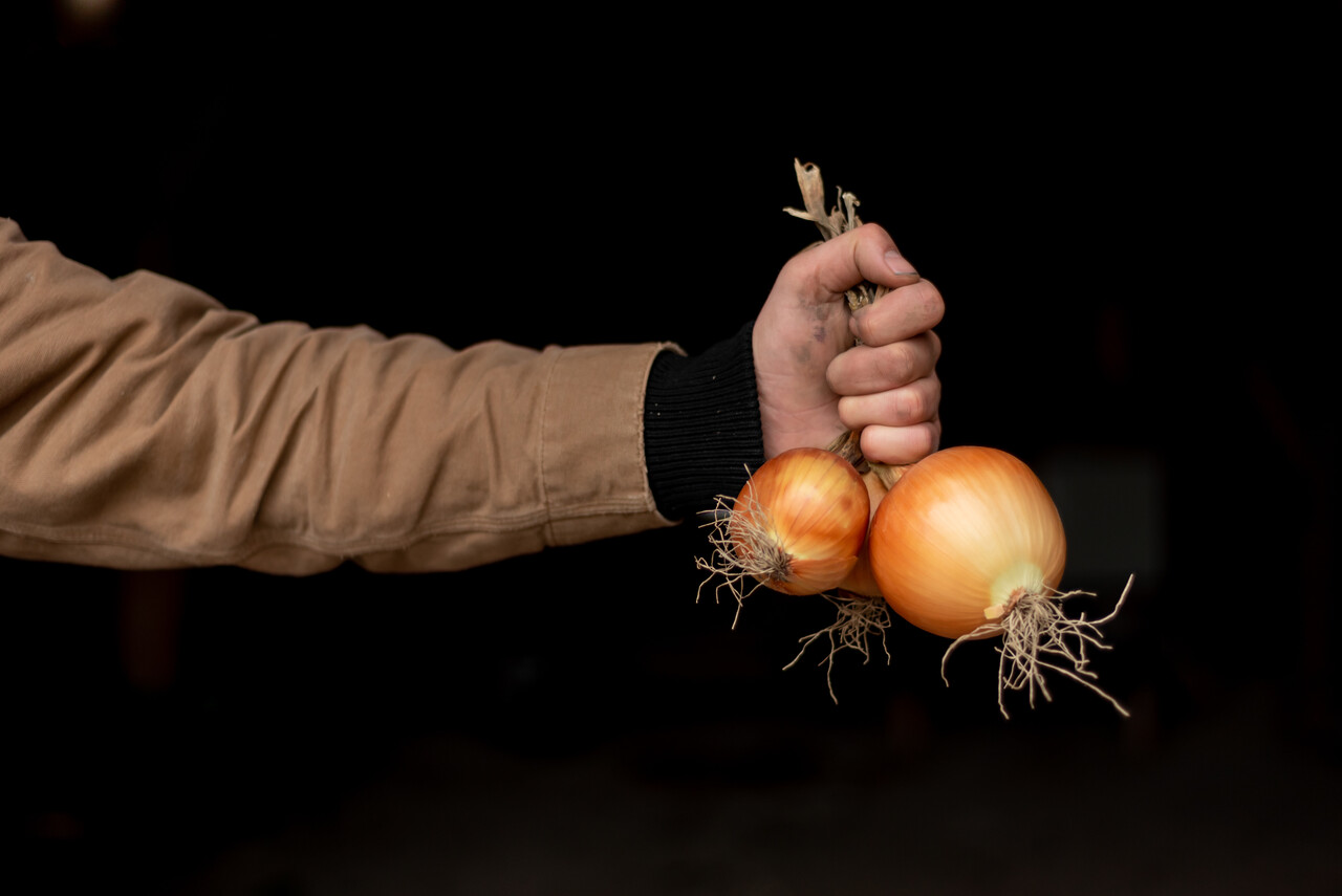 Botmas Botmas Biologische Gele Ui - Vers