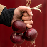 Botmas Biologische Rode Ui - Vers