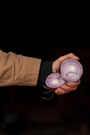 Botmas Botmas Biologische Rode Ui - Vers