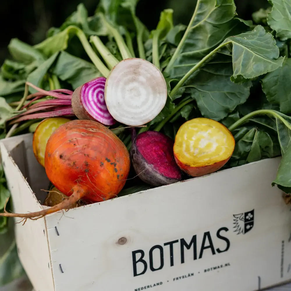 Botmas Botmas Biologische Diverse Bieten - Vers