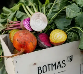 Botmas Biologische Diverse  Bieten - Vers
