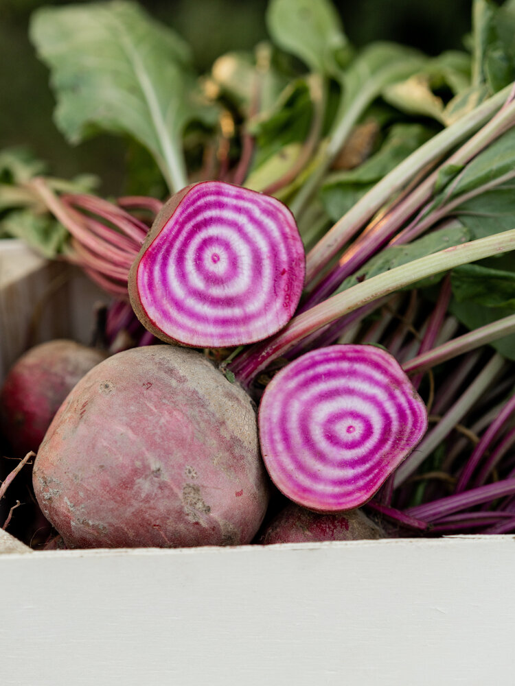 Botmas Botmas Biologische Diverse Bieten - Vers