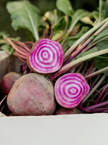 Botmas Botmas Biologische Diverse Bieten - Vers