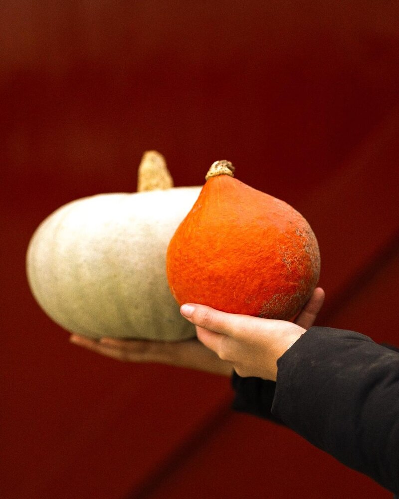 Botmas Runderstoofpot - RTE