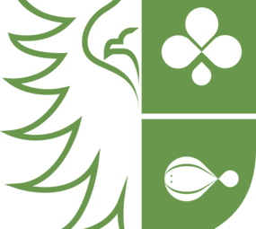 Botmas Biologische Pastinaak - RTU Botmas Biologische Pastinaak - RTU