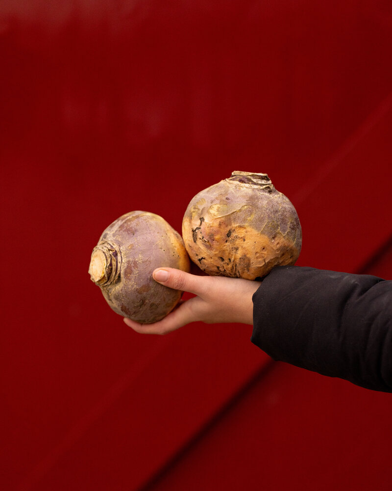 Botmas Biologische koolraap - Vers