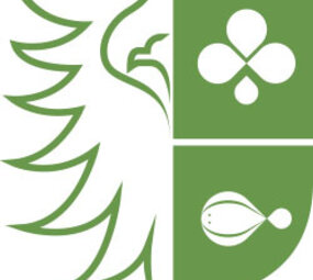 Botmas Vleesjus - RTE