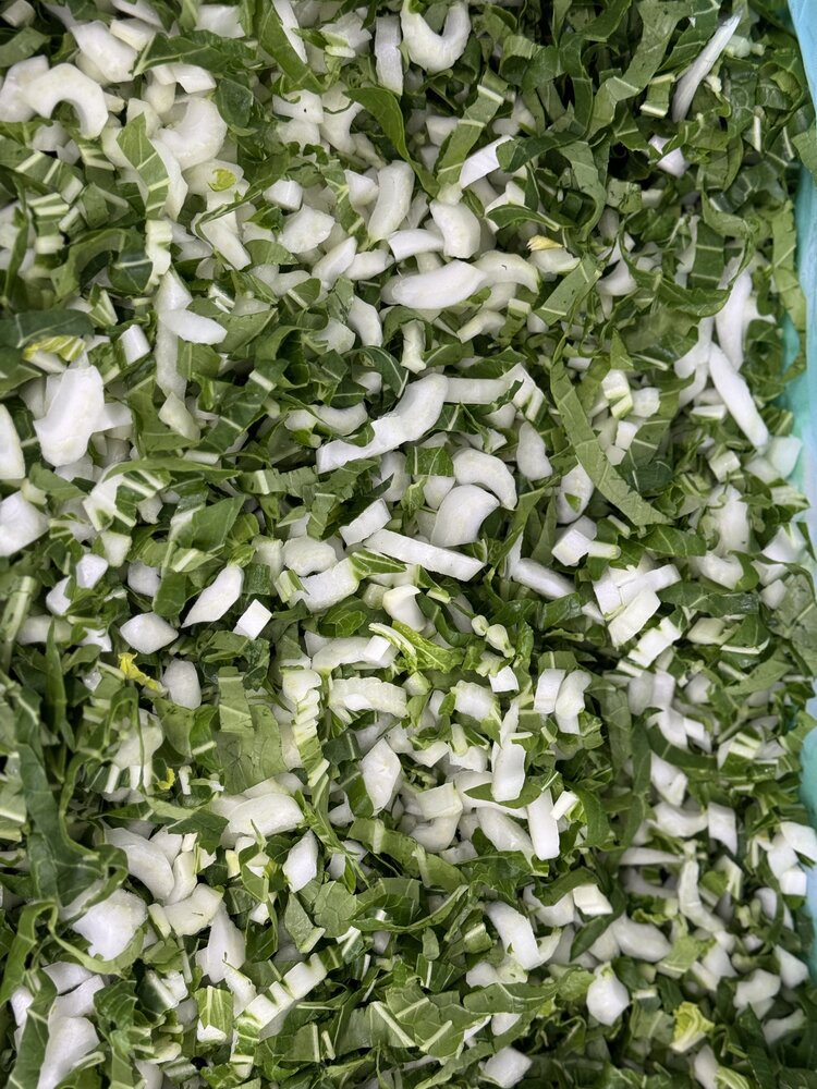 Botmas Biologische Paksoi - RTU