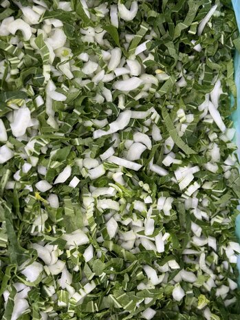 Botmas Biologische Paksoi - RTU