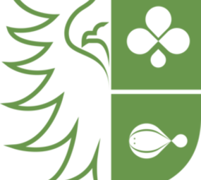 Botmas Biologische Palmkool  - Vers