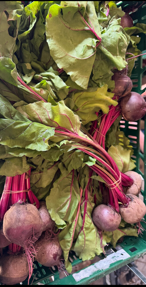 Botmas Biologische Bos Biet - Vers