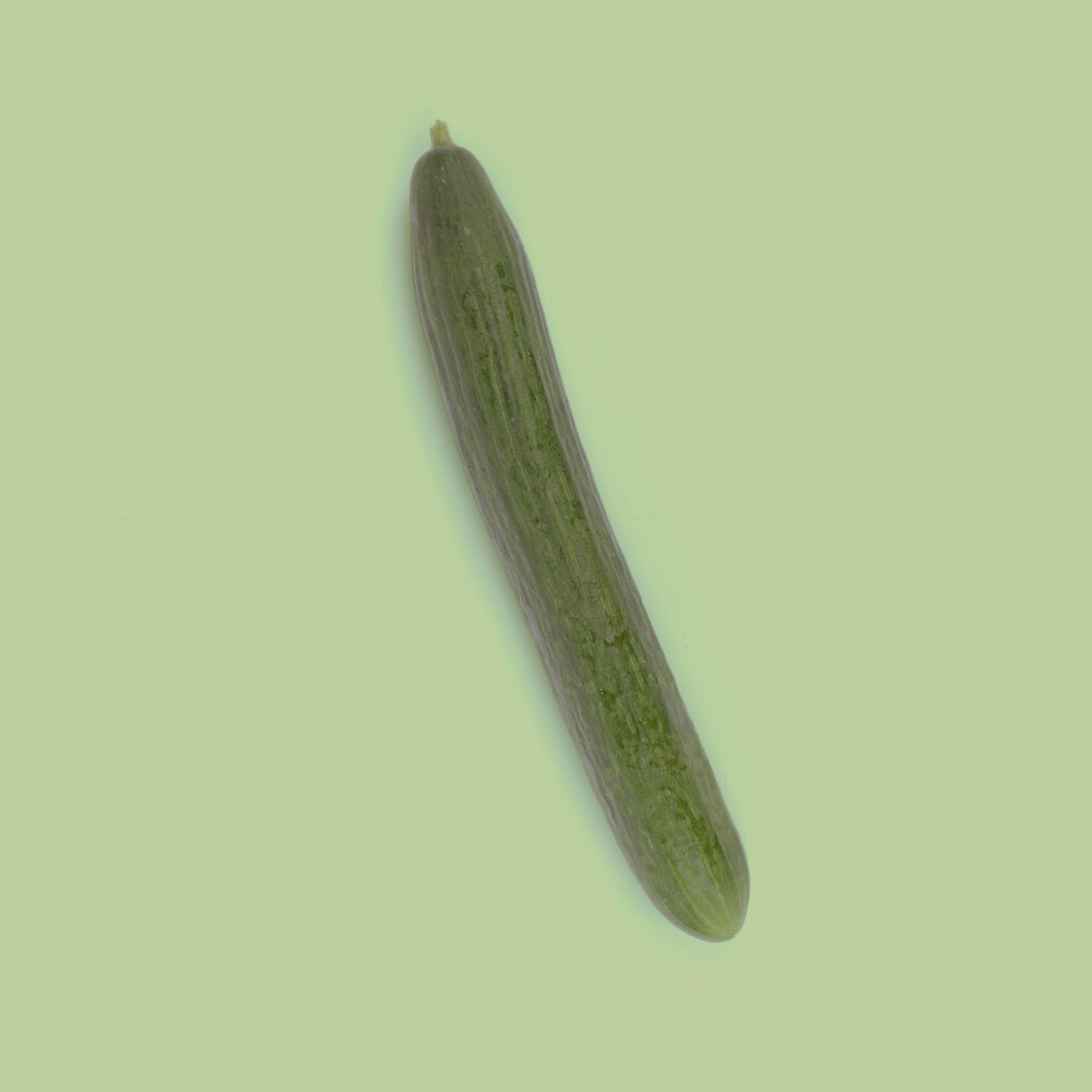 Botmas Biologische Komkommer Vers Botmas Biologische Komkommer Vers