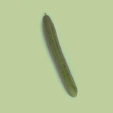 Botmas Biologische Komkommer Vers Botmas Biologische Komkommer Vers