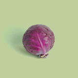 Botmas Biologische Rode Kool - Vers