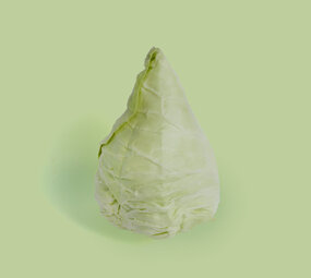 Botmas Biologische Spitskool - Vers