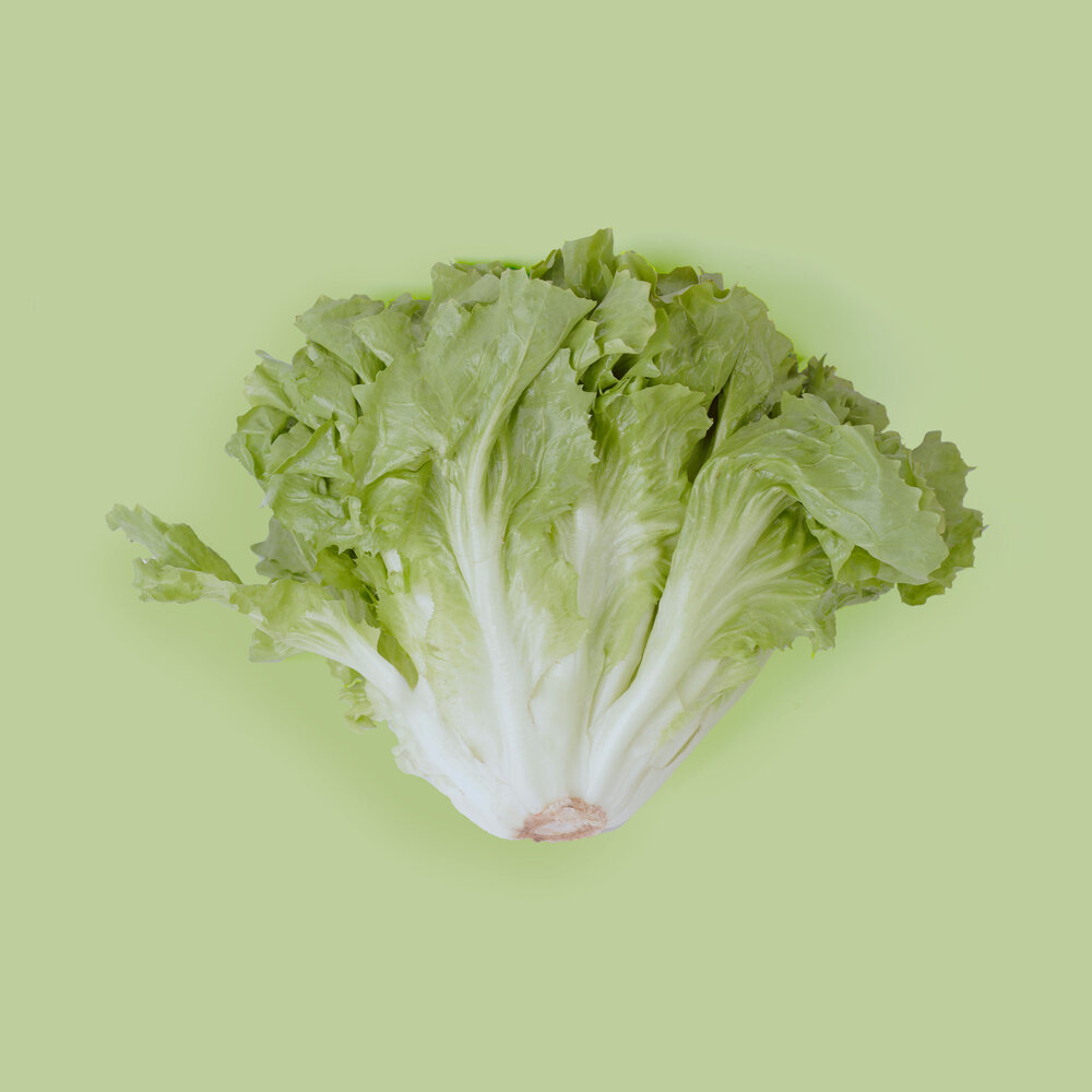 Botmas Biologische Andijvie - Vers Botmas Biologische Andijvie - Vers