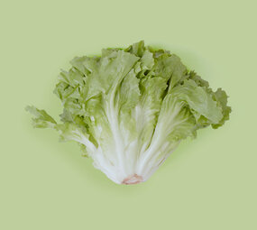 Botmas Biologische Andijvie - Vers Botmas Biologische Andijvie - Vers