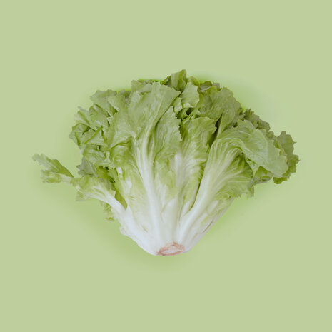 Botmas Biologische Andijvie - Vers Botmas Biologische Andijvie - Vers