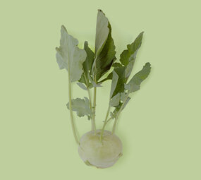 Botmas Biologische Koolrabi - Vers