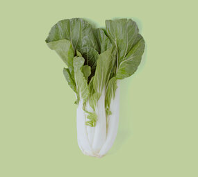 Botmas Biologische Paksoi - Vers