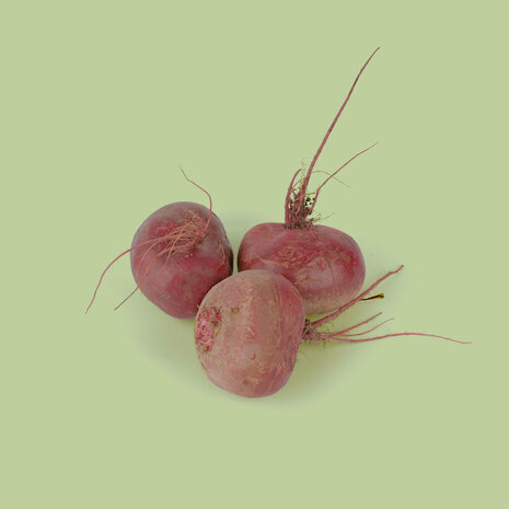 Botmas Botmas Biologische Diverse Bieten - Vers