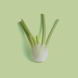 Botmas Biologische venkel - Vers Botmas Biologische venkel - Vers