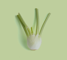 Botmas Biologische venkel - Vers Botmas Biologische venkel - Vers