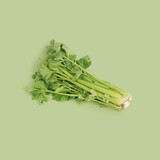 Botmas Biologische Selderij - Vers Botmas Biologische Selderij - Vers