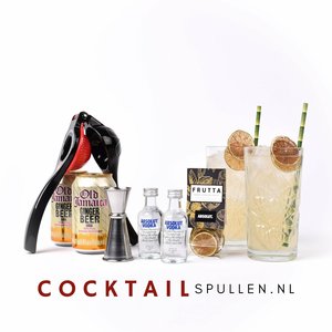 Cocktailspullen.nl Moscow Mule Pakket: 2x Vodka, 2x Ginger Beer, 2x Glas, Tools en garnering