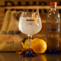 Damrak Gin & Tonic winterserve