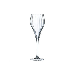 Chef & Sommelier Chef & Sommelier - Symetrie Champagne Flute 16CL - 6 stuks