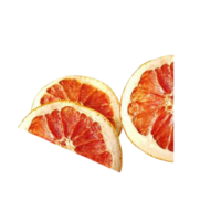 Frutta Grapefruit +/- 450 stuks (1KG) - gedroogd fruit - cocktailgarnering - Grapefruit schijfjes
