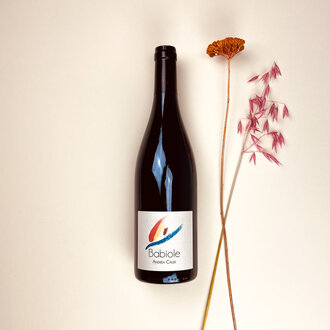 Andrea Calek Calek - Babiole - 2021