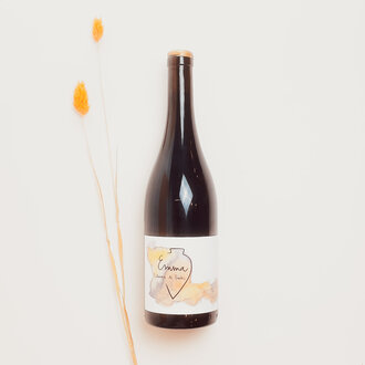 Vega Aixalà Vega Aixalà - Villanova Del Prades - 2018