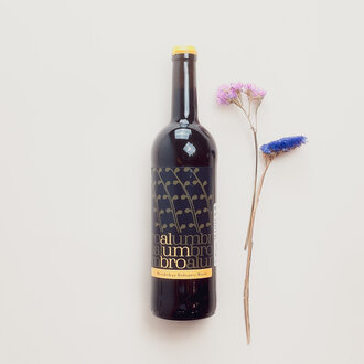 Microbodega del Alumbro Microbodega del Alumbro - Tinto Anfora - 2019 Microbodega del Alumbro Microbodega del Alumbro - Tinto Anfora - 2019