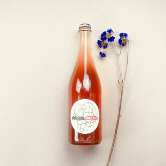 Raisin Sauvage Raisin Sauvage - Le Social Traitre - 2023