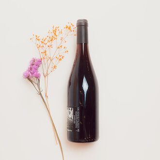 Domaine Pierre Guillon Peers Pierre Guillon - Triptyque #1 - 2022