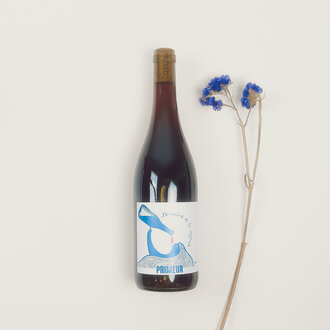 Domaine De La Légèreté Domaine De La Légèreté - Primeur - 2024