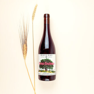 Bodega y vinedos Marenas Marenas - Cerro Encinas  - 2022