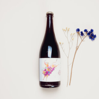 Bodegas Cueva Bodegas Cueva by Mariano - Ancestral Wild Fermentation - 2023