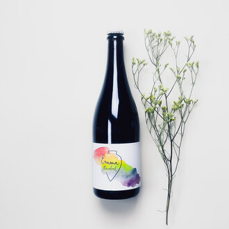 Vega Aixalà Vega Aixalà - Emma Ancestral - 2023