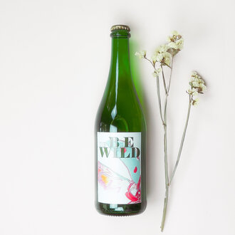De Bie Wild De Bie Wild - Cider Kweepeer - 2022