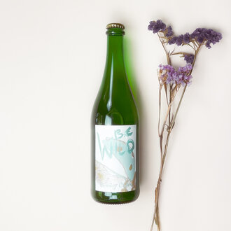 De Bie Wild De Bie Wild - Funky Cider - 2023