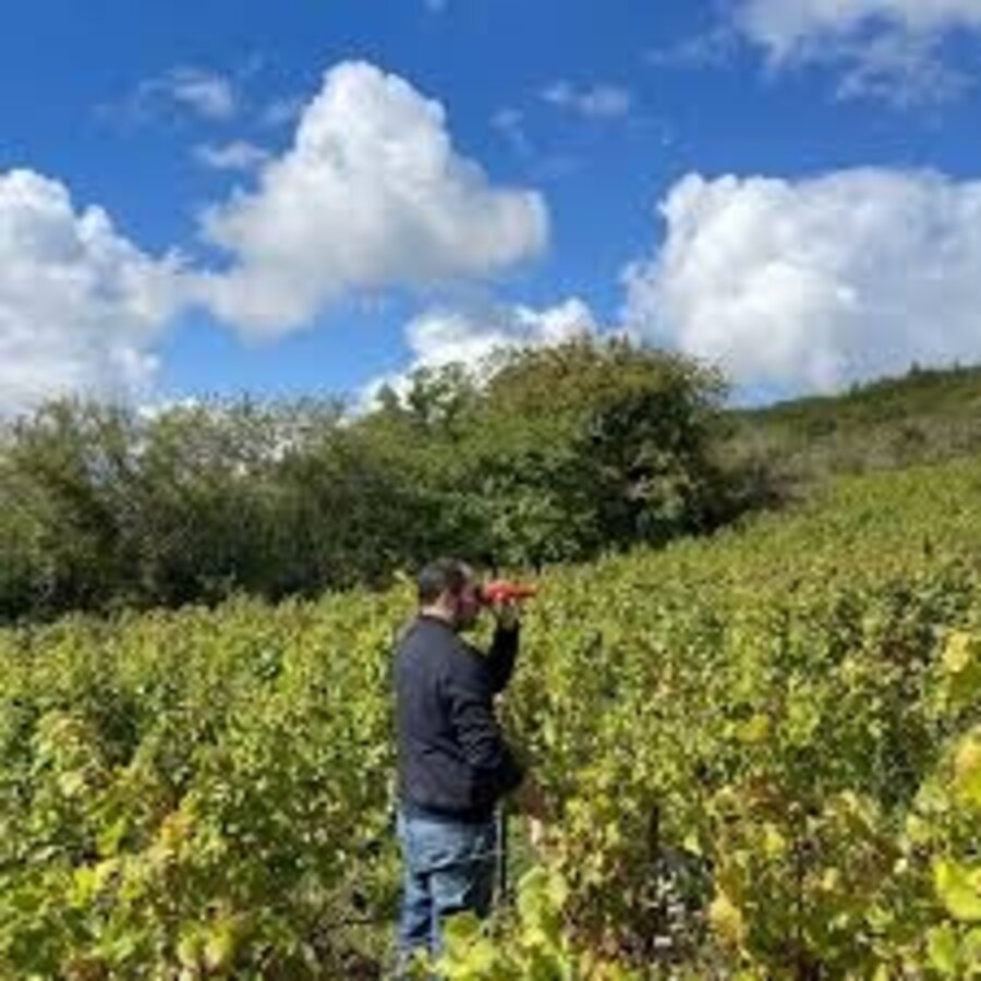Domaine De La Légèreté