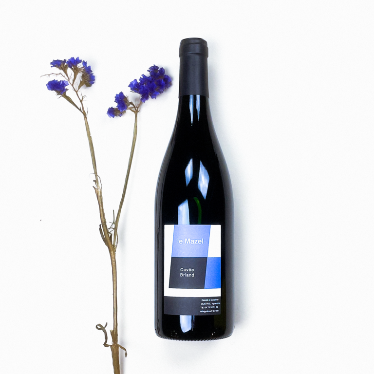 Domaine Le Mazel Le Mazel - Cuvée Briand - 2023