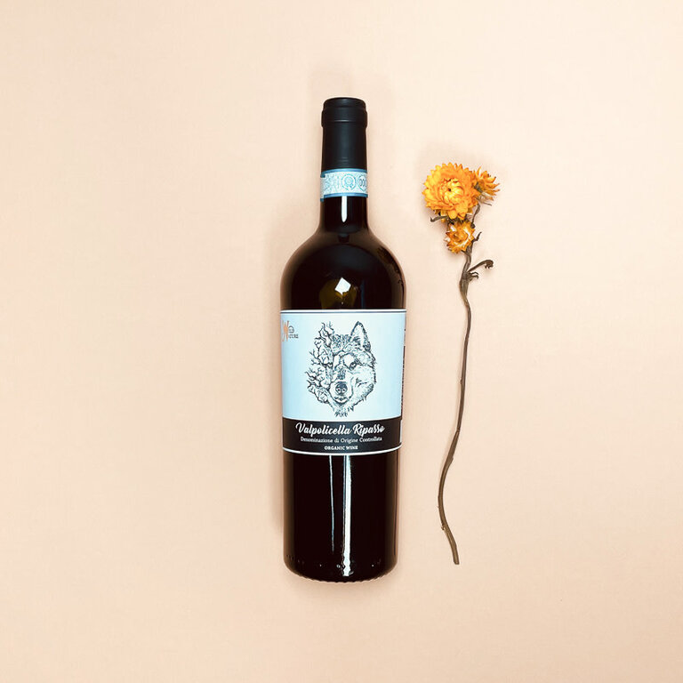Fidora Fidora - Valpolicella Ripasso - 2021