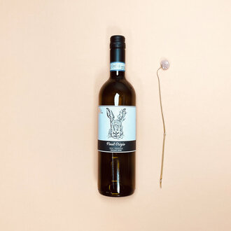 Fidora Fidora - Pinot Grigio - 2024