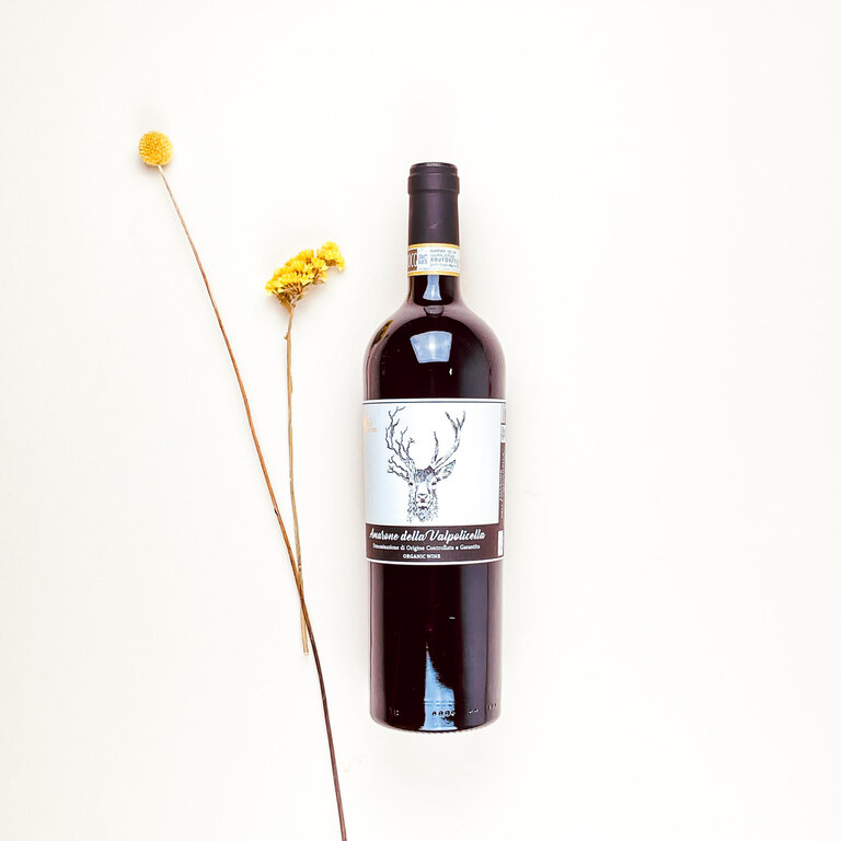Fidora Fidora - Amarone della Valpolicella - 2016