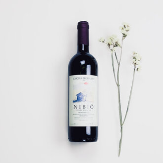 Bellotti Bellotti - Nibio T.B. - 2007 Bellotti Bellotti - Nibio T.B. - 2007